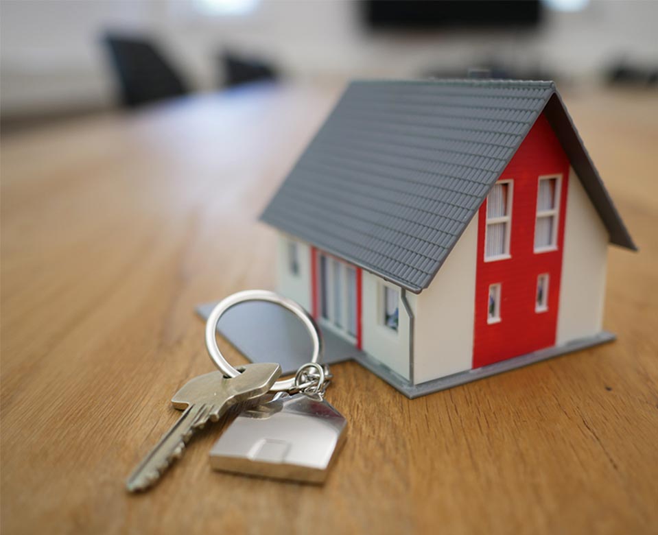 tierra mallorca rgj1j8sdeay unsplash